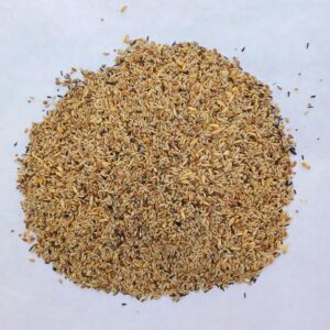 ABBA 3700 Canary/European Bird Seed Blend - No Rape Seed