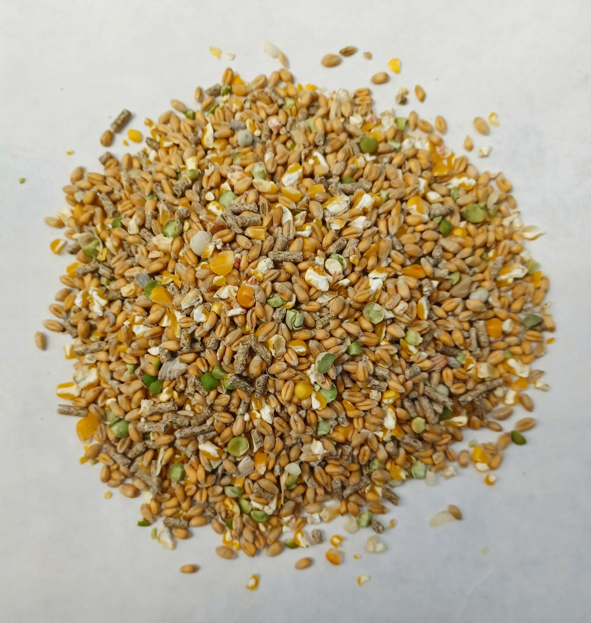 Chicken Garden Blend 20kg Vander L Feeds Limited