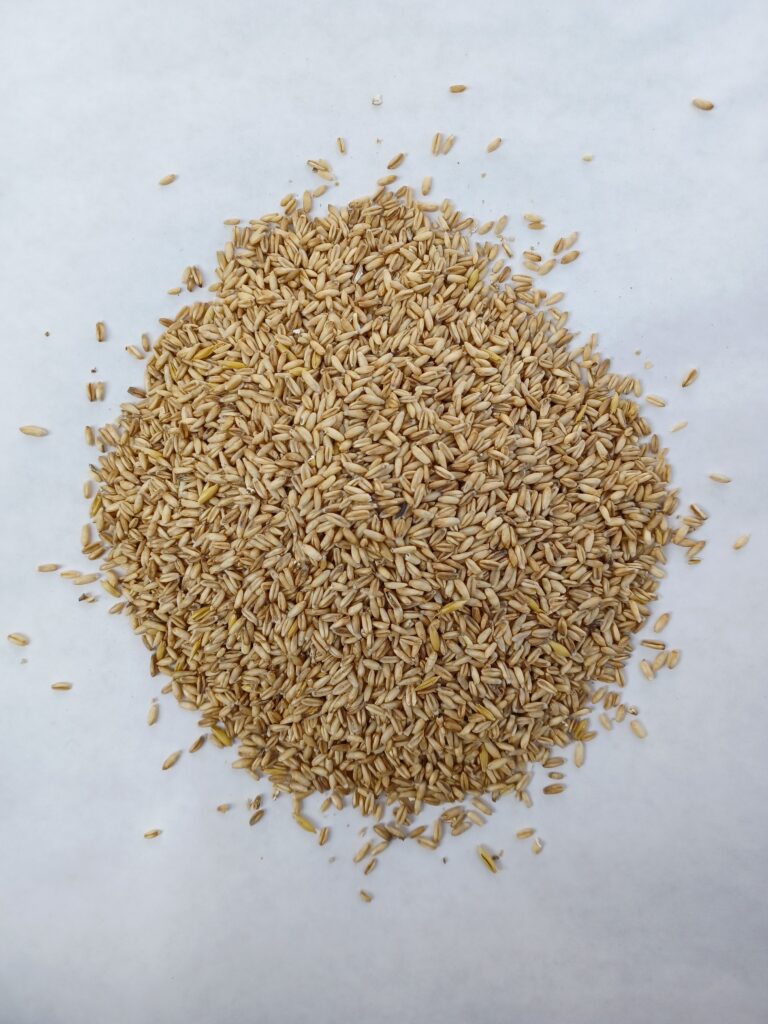 Groates Groats – 20kg - Vander L Feeds Limited