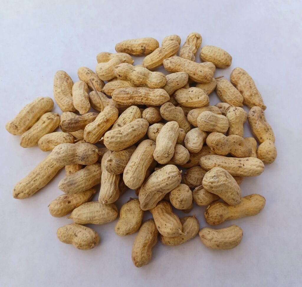 Monkey Shells Peanuts in Shells - Vander L Feeds Limited