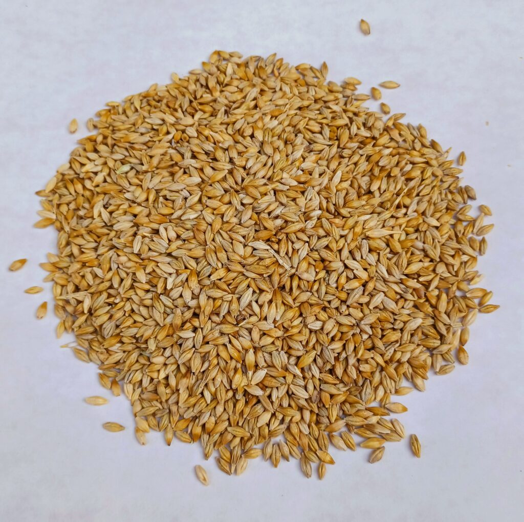 Whole Barley Vander L Feeds Limited Whole Barley